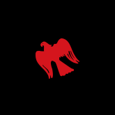 Simple Logo Shirt Schwarz