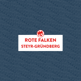 Rote Falken Steyr-Gründberg