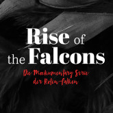 Rise of the Falcons